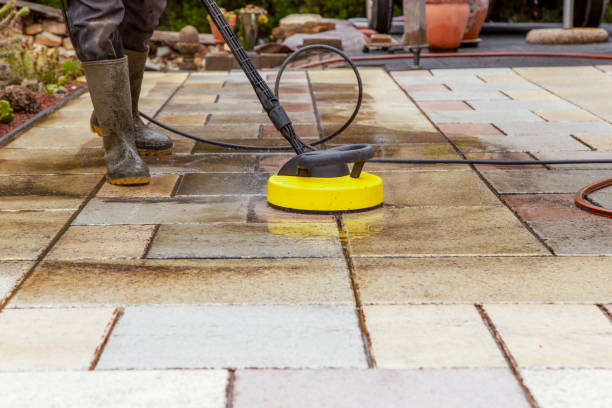 Best Roof Washing  in Onalaska, WI